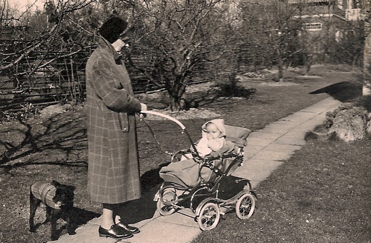 Staffi Bedstemor Tot Holte 1961